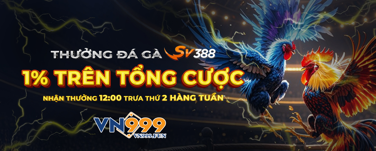 banner-vn999-fun-1